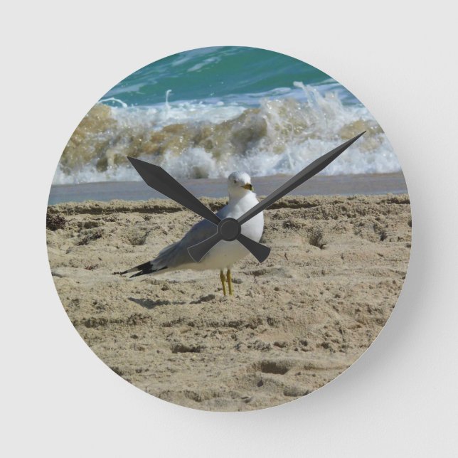 Reloj Redondo Mediano Fort Lauderdale, Florida (Anverso)