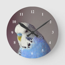 Reloj Redondo Mediano Foto de bonito Blue Budgie