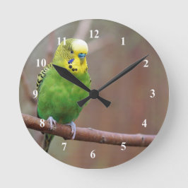 Reloj Redondo Mediano Foto de bonito Green Budgie
