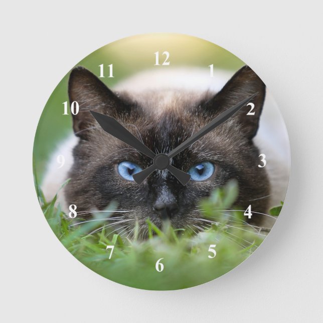 Reloj Redondo Mediano Foto de gato siamesa cutáneo (Anverso)