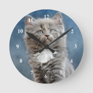 Reloj Redondo Mediano Foto de Gris y Gatito Blanco