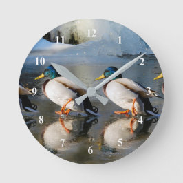 Reloj Redondo Mediano Foto de hielo Mallard Ducks