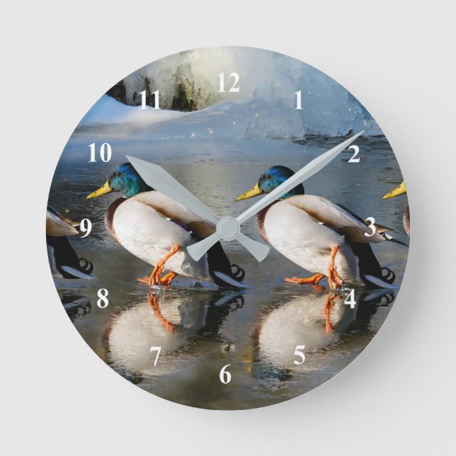 Reloj Redondo Mediano Foto de hielo Mallard Ducks (Anverso)