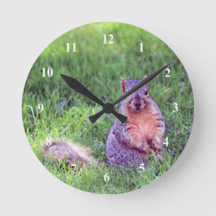Reloj Redondo Mediano Foto de la fauna marina de la ardilla