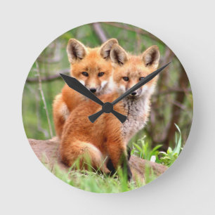 Reloj Redondo Mediano Foto de los equipos adorables del zorro rojo que
