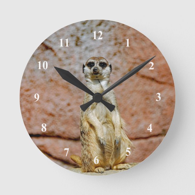 Reloj Redondo Mediano Foto de Meerkat Wildlife (Anverso)