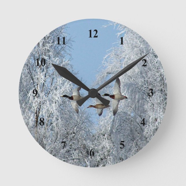 Reloj Redondo Mediano Foto de Nieve Voladora De Patos Mallard (Anverso)