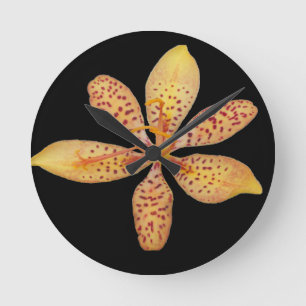 Reloj Redondo Mediano Foto de una naranja ligera de Blackberry Lily en u