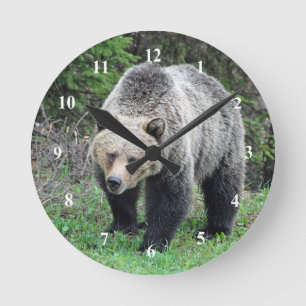 Reloj Redondo Mediano Foto de vida silvestre Alaska Grizzly Bear