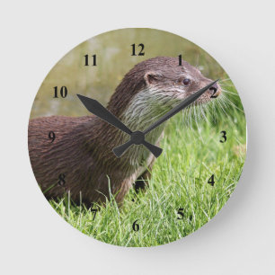 Reloj Redondo Mediano Foto de vida silvestre Otter Grass