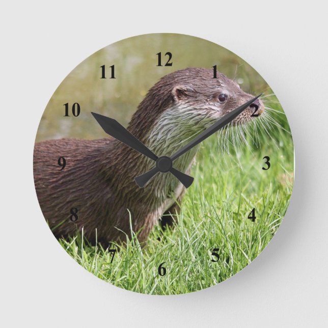 Reloj Redondo Mediano Foto de vida silvestre Otter Grass (Anverso)