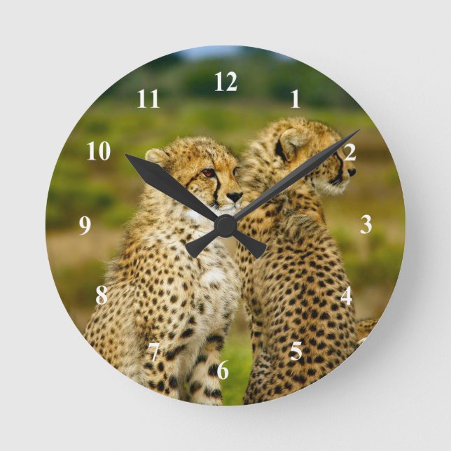 Reloj Redondo Mediano Foto de Wildlife Cheetah (Anverso)