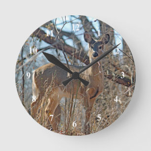 Reloj Redondo Mediano Foto de Wildlife Deer Woods