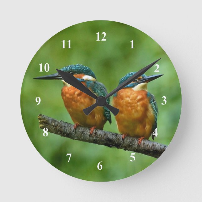 Reloj Redondo Mediano Foto de Wildlife Kingfisher (Anverso)
