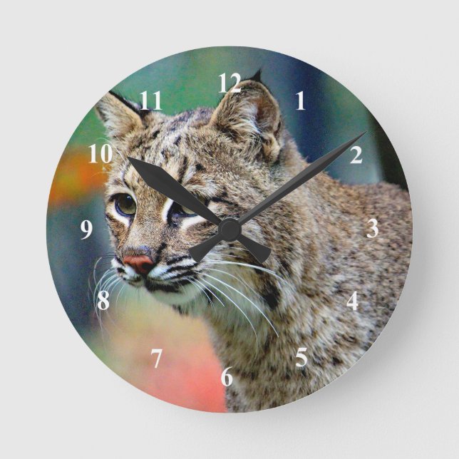 Reloj Redondo Mediano Fotografía de Bobcat Vida silvestre (Anverso)