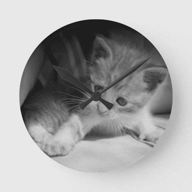 Reloj Redondo Mediano Fotografía de Gatito Blanco y Negro (Anverso)
