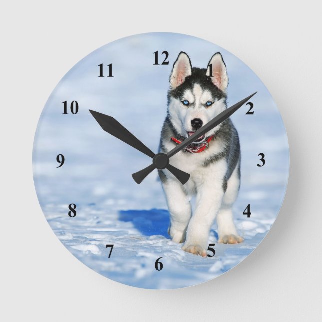 Reloj Redondo Mediano Fotografía de Husky Puppy Snow (Anverso)