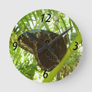Reloj Redondo Mediano Fotografía de la naturaleza de la mariposa Blue Mo