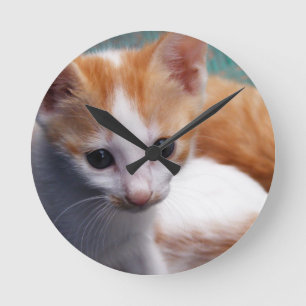 Reloj Redondo Mediano Fotografía de naranja Kitten