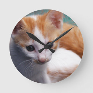 Reloj Redondo Mediano Fotografía de naranja Kitten