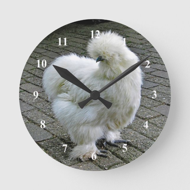 Reloj Redondo Mediano Fotografía de Silkie Blanco Pollo (Anverso)