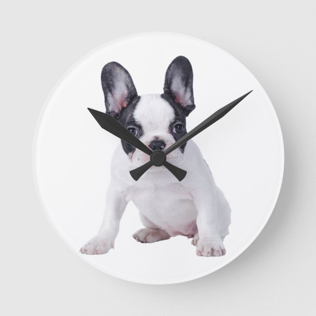 Reloj Redondo Mediano Frenchie-cachorro de bulldog francés (Anverso)
