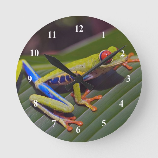 Reloj Redondo Mediano Frog Red Eye Photo (Anverso)