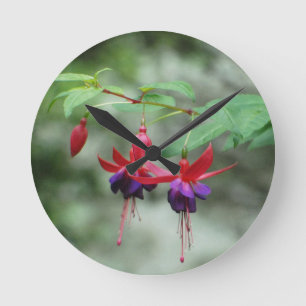 Reloj Redondo Mediano Fuschia1A.jpg