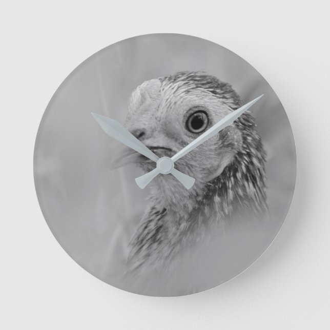 Reloj Redondo Mediano Gallina de juego americana (Anverso)