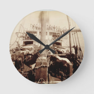 Reloj Redondo Mediano Ganado del envío en el "W.G. Pasillo", Hawaii,