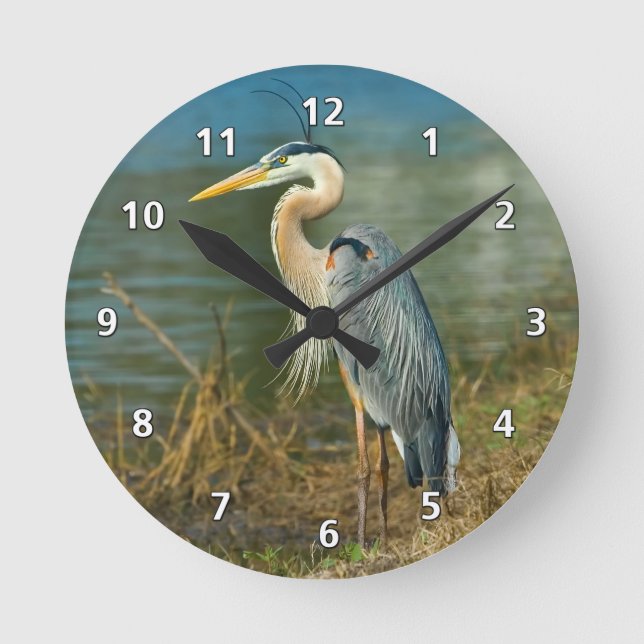 Reloj Redondo Mediano Garza de gran azul en la charca (Anverso)