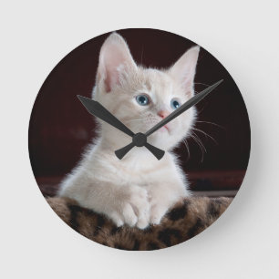 Reloj Redondo Mediano Gatito Blanco Súper Lindo