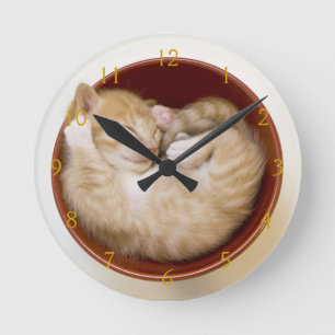 Reloj Redondo Mediano Gatito el dormir