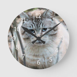 Reloj Redondo Mediano Gato