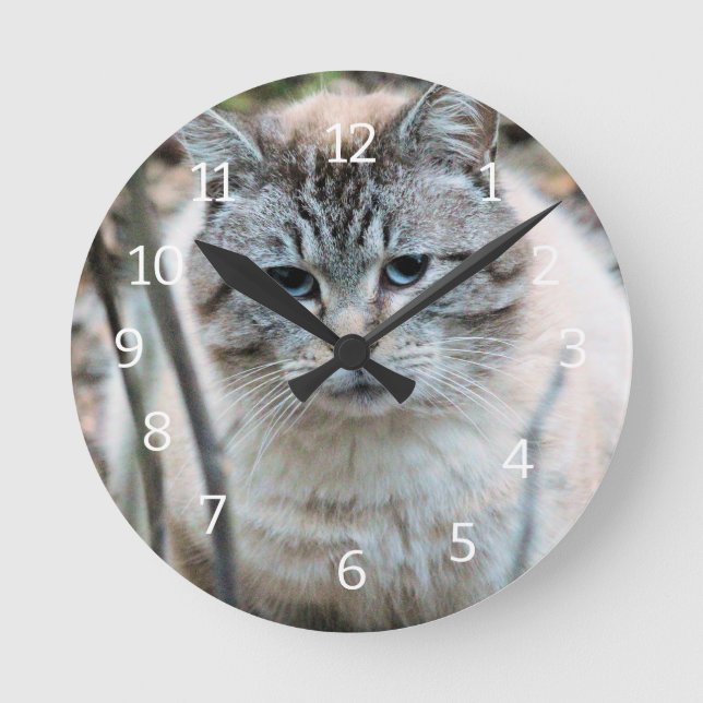 Reloj Redondo Mediano Gato (Anverso)