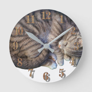 Reloj Redondo Mediano Gato acurrucado durmiendo lindo y acogedor