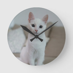 Reloj Redondo Mediano Gato blanco Zazzle_Growshop.