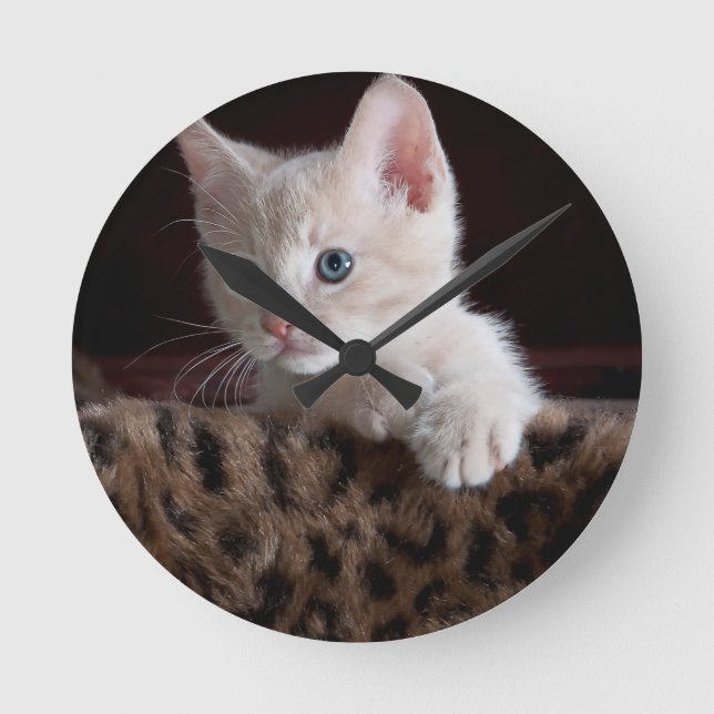 Reloj Redondo Mediano Gato Bonito Mirando (Anverso)