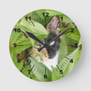 Reloj Redondo Mediano Gato de Calico en las Zinnias