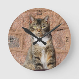 Reloj Redondo Mediano Gato de iglesia