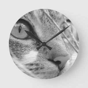 Reloj Redondo Mediano gato gris y blanco en un verde