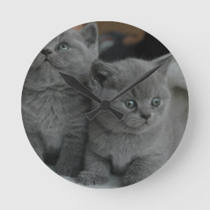 Reloj Redondo Mediano gato lindo del gatito del mascota del ronroneo del