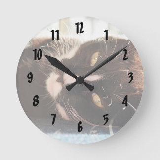 Reloj Redondo Mediano gatos negros y blancos cara foto animal ojos amari