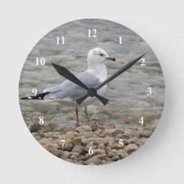 Reloj Redondo Mediano Gaviota