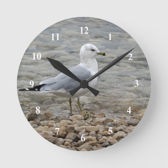Reloj Redondo Mediano Gaviota (Anverso)