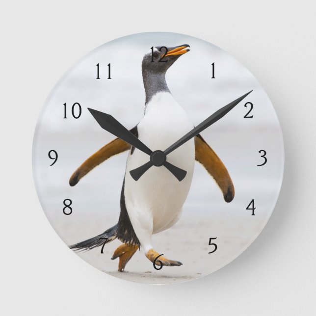 Reloj Redondo Mediano Gentoo Penguin (Anverso)