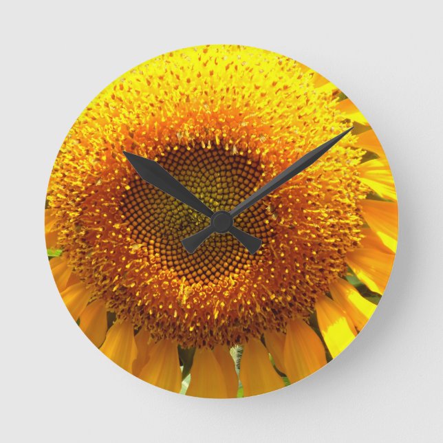 Reloj Redondo Mediano Giant yellow mammoth sunflower photo (Anverso)