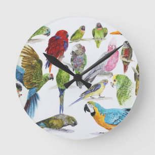 Reloj Redondo Mediano Gift for Parrot lovers everywhere