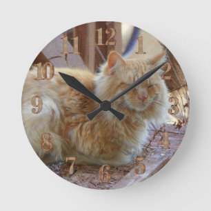 Reloj Redondo Mediano Ginger George