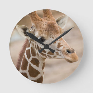 Reloj Redondo Mediano Giraffe